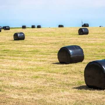 Field with wrapped hay bales in the Scottish countryside Enva expands farm plastics recycling business in Ireland