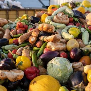 food waste web shot Food waste legislation for larger businesses to change in 2025
